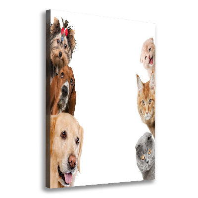 Large canvas wall art Dogs and cats