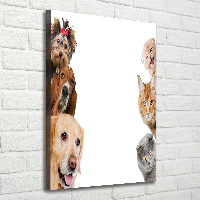 Large canvas wall art Dogs and cats