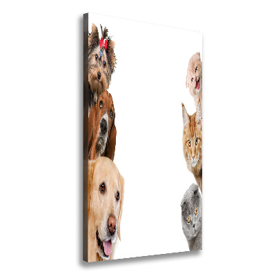 Large canvas wall art Dogs and cats