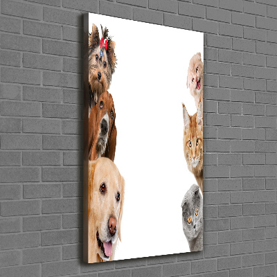 Large canvas wall art Dogs and cats