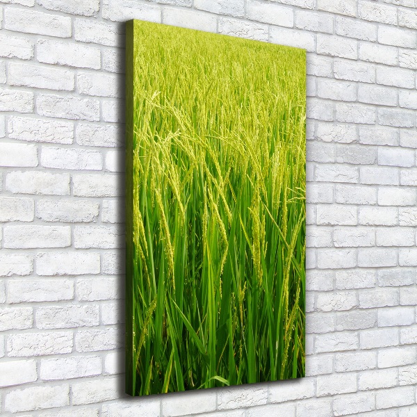 Large canvas wall art Rice plantation