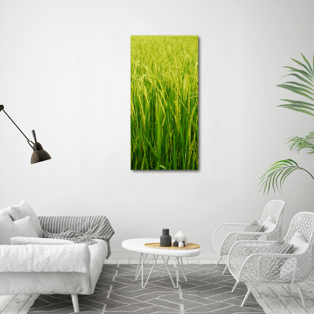 Large canvas wall art Rice plantation