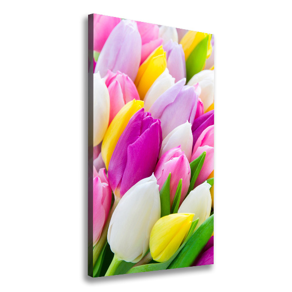 Large canvas wall art Colorful tulips