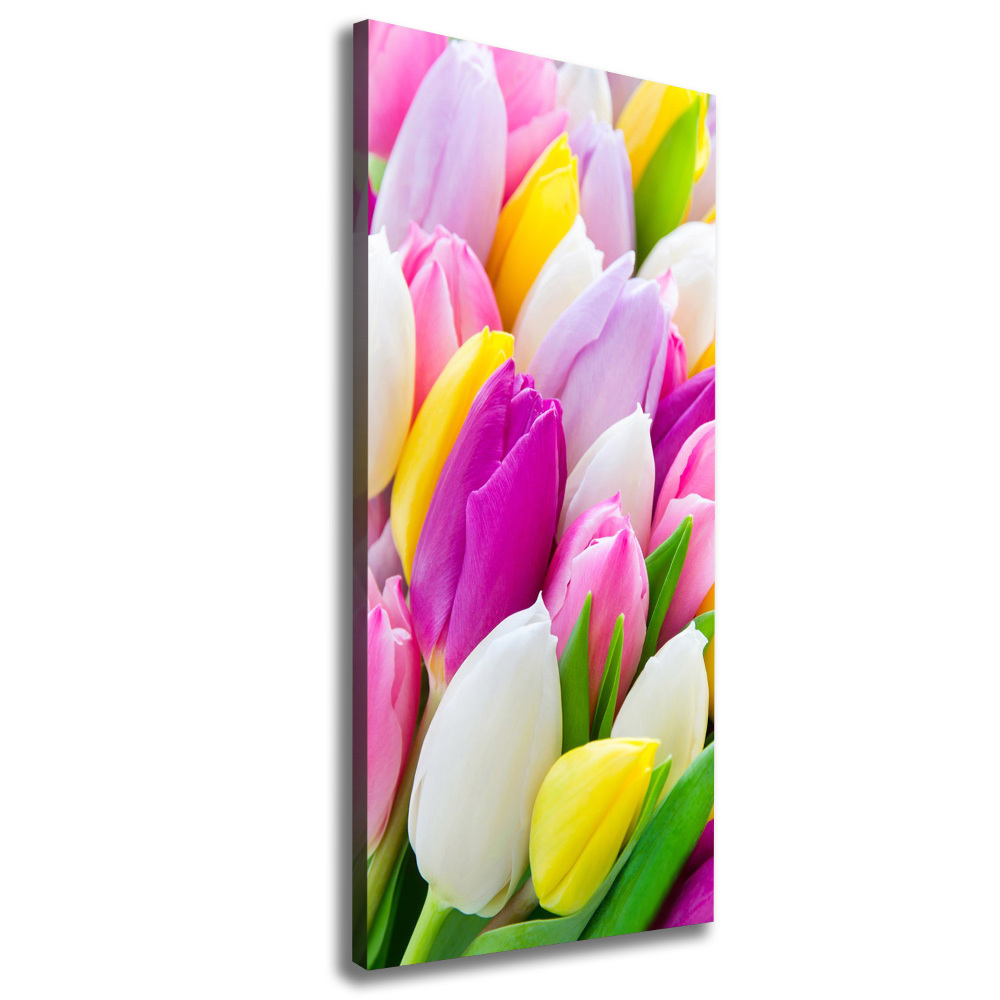 Large canvas wall art Colorful tulips