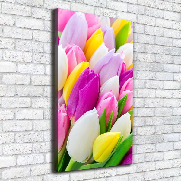 Large canvas wall art Colorful tulips