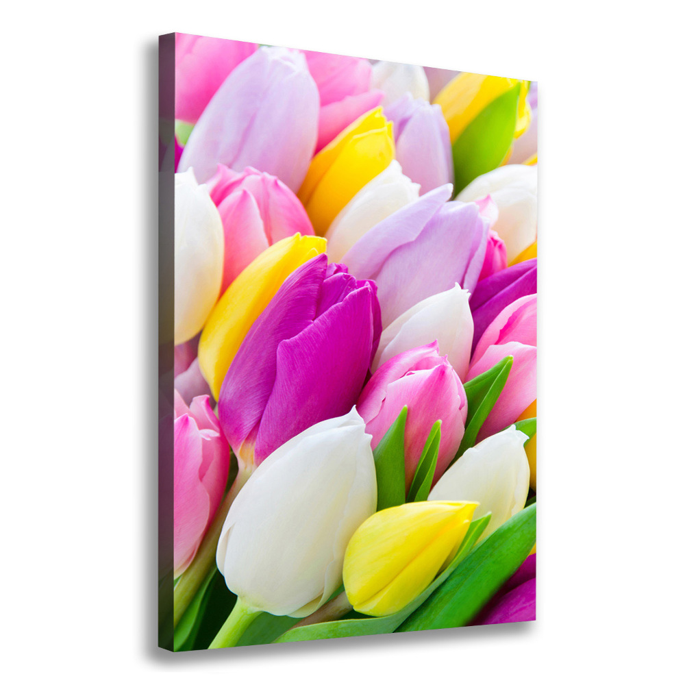 Large canvas wall art Colorful tulips