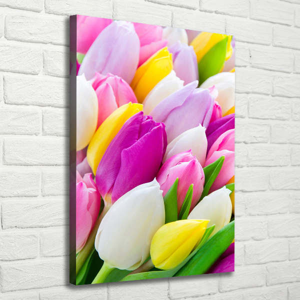 Large canvas wall art Colorful tulips