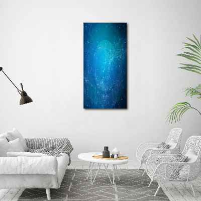 Canvas wall art Constellation