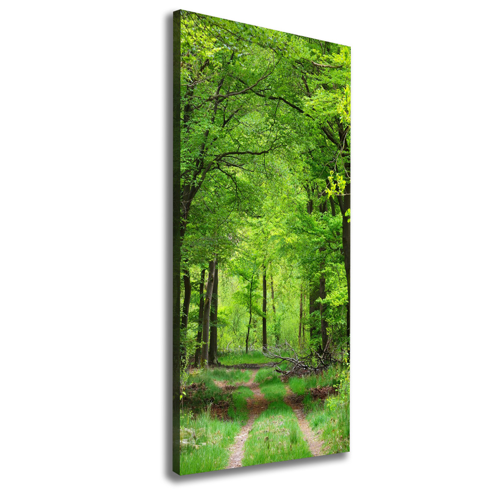 Large canvas wall art Green Forest