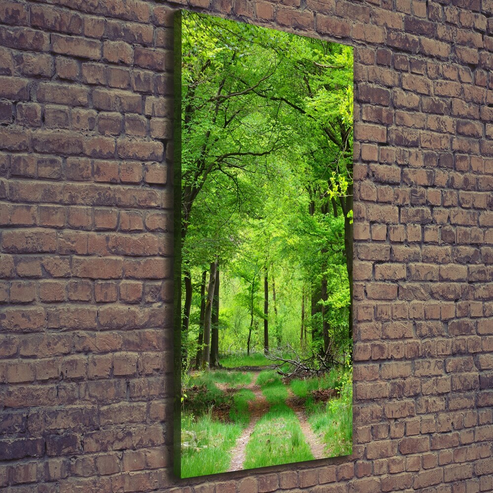 Large canvas wall art Green Forest