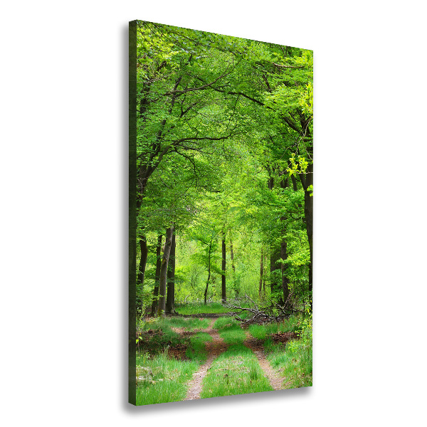 Large canvas wall art Green Forest