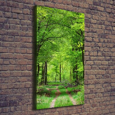 Large canvas wall art Green Forest