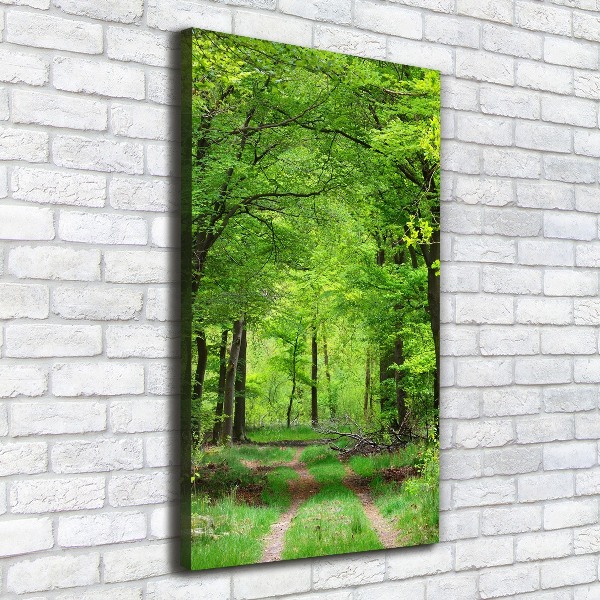 Large canvas wall art Green Forest