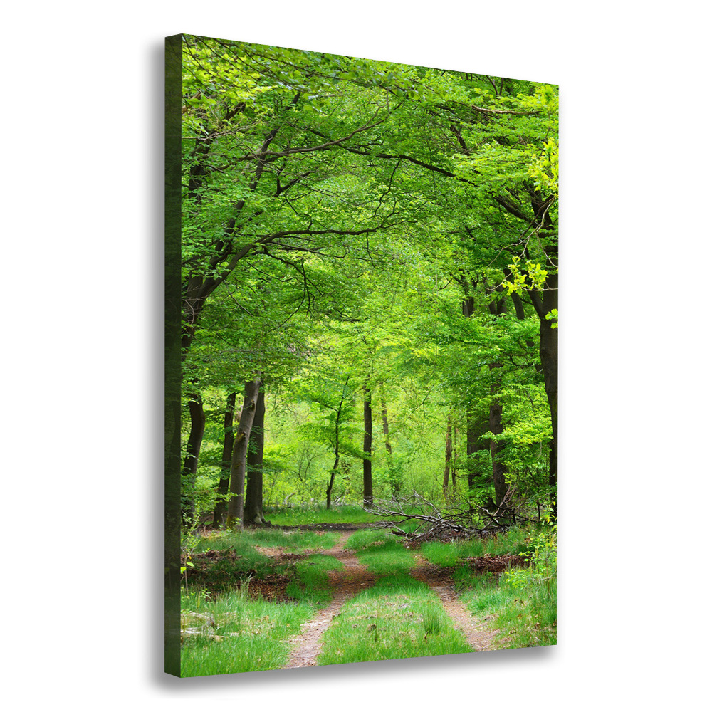 Large canvas wall art Green Forest