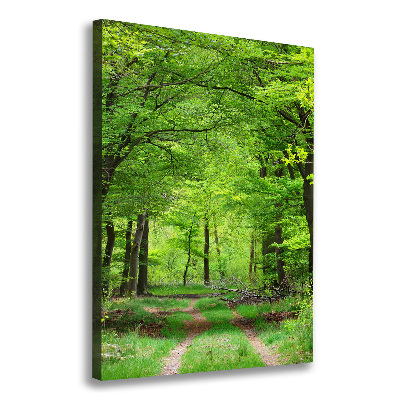 Large canvas wall art Green Forest