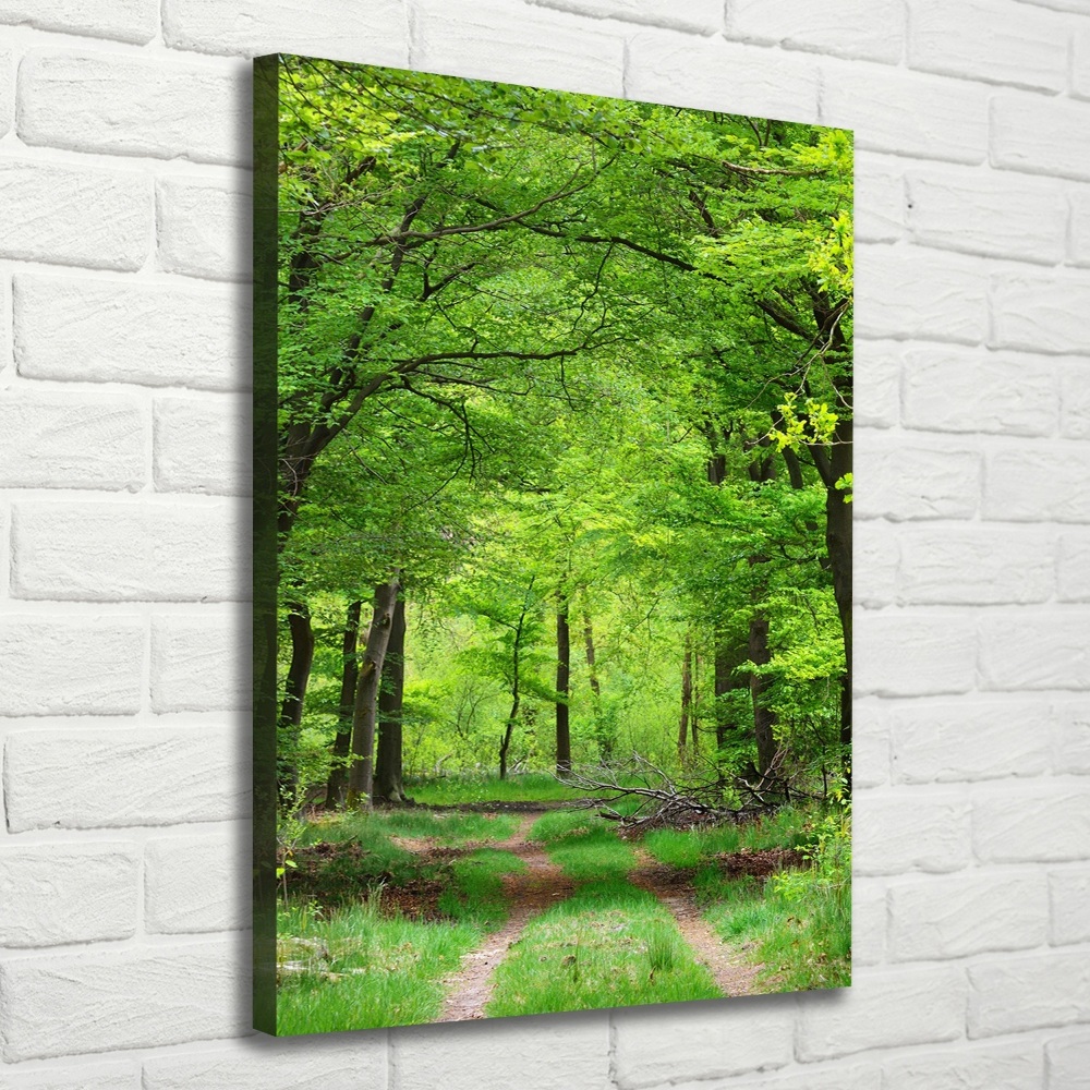 Large canvas wall art Green Forest