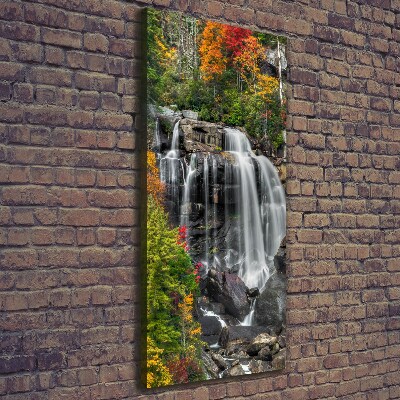 Canvas print Waterfall in autumn