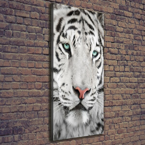 Large canvas wall art White Tiger