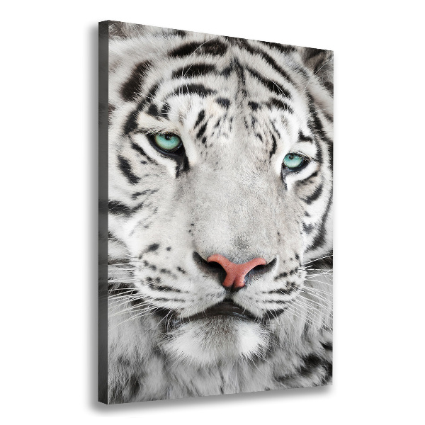 Large canvas wall art White Tiger