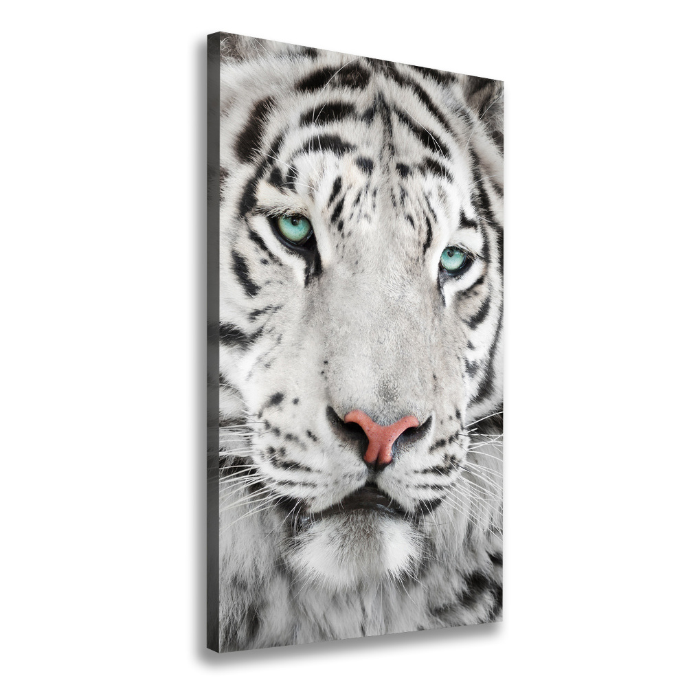 Large canvas wall art White Tiger