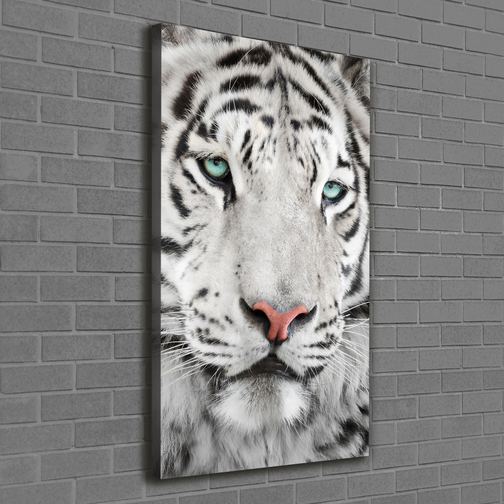 Large canvas wall art White Tiger