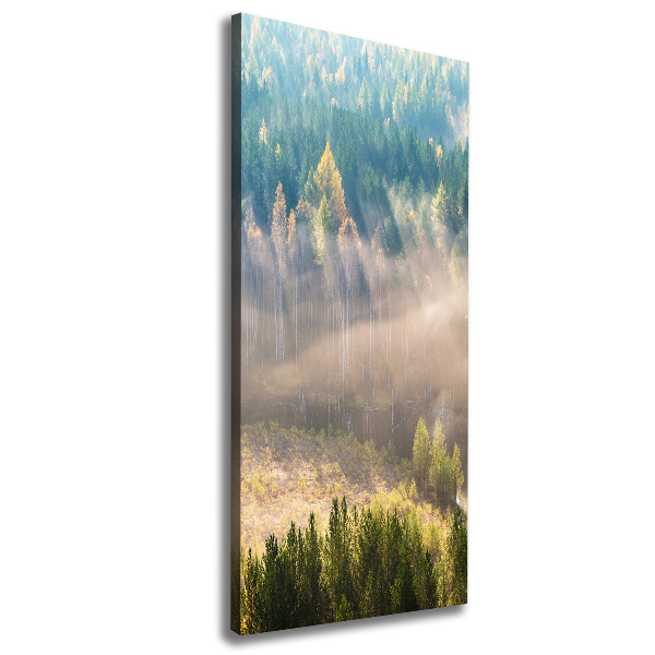 Canvas wall art Fog over the forest