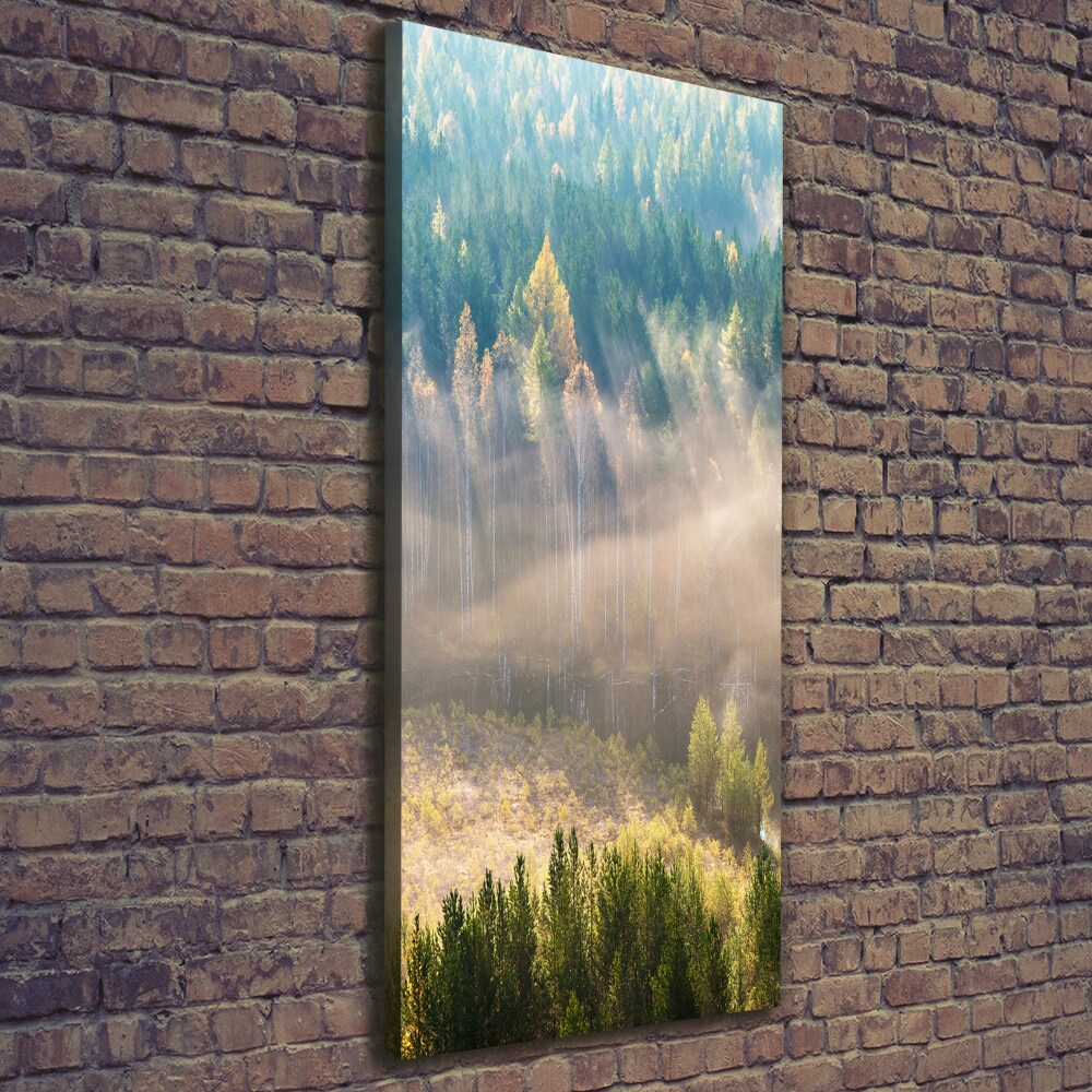 Canvas wall art Fog over the forest