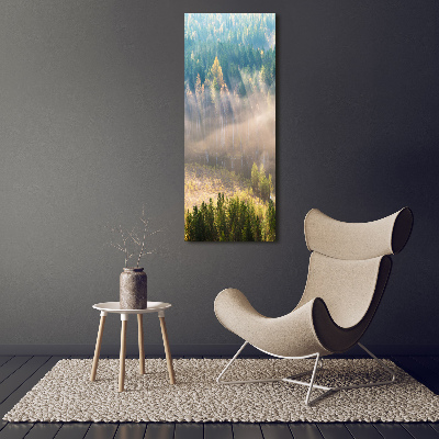 Canvas wall art Fog over the forest