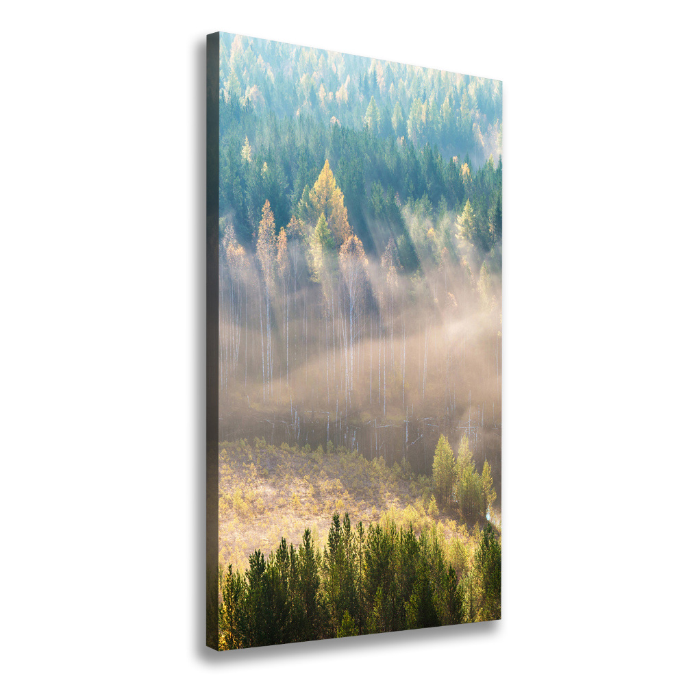 Canvas wall art Fog over the forest