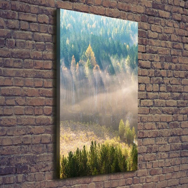 Canvas wall art Fog over the forest