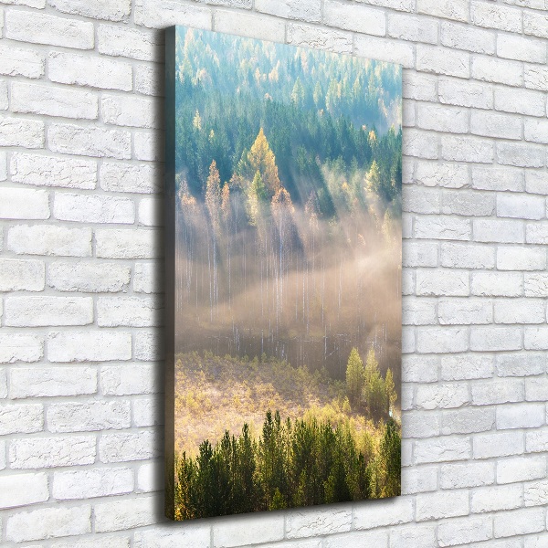 Canvas wall art Fog over the forest