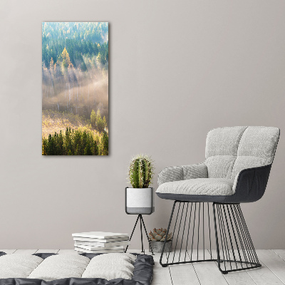 Canvas wall art Fog over the forest