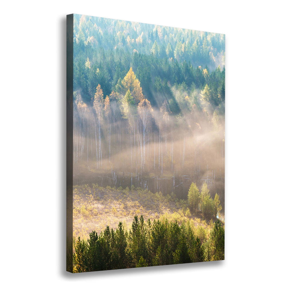 Canvas wall art Fog over the forest