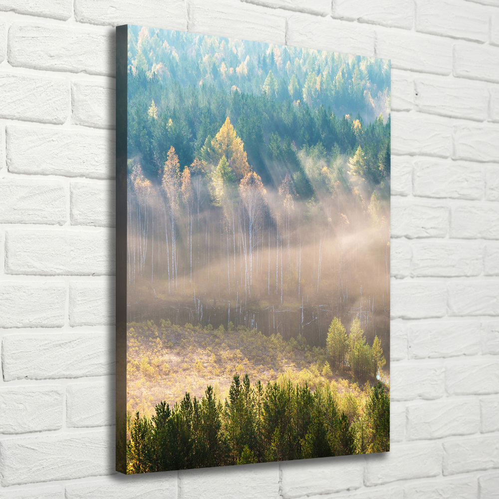 Canvas wall art Fog over the forest