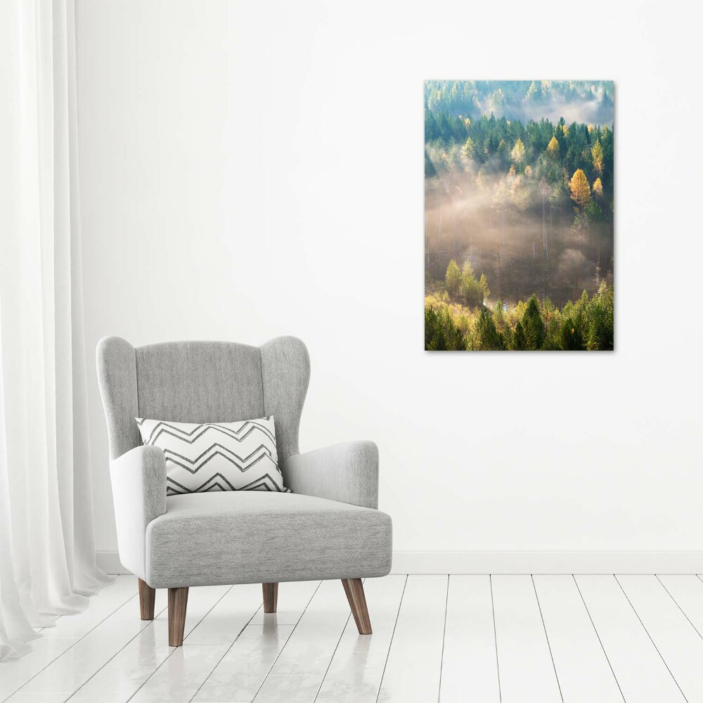 Canvas wall art Fog over the forest