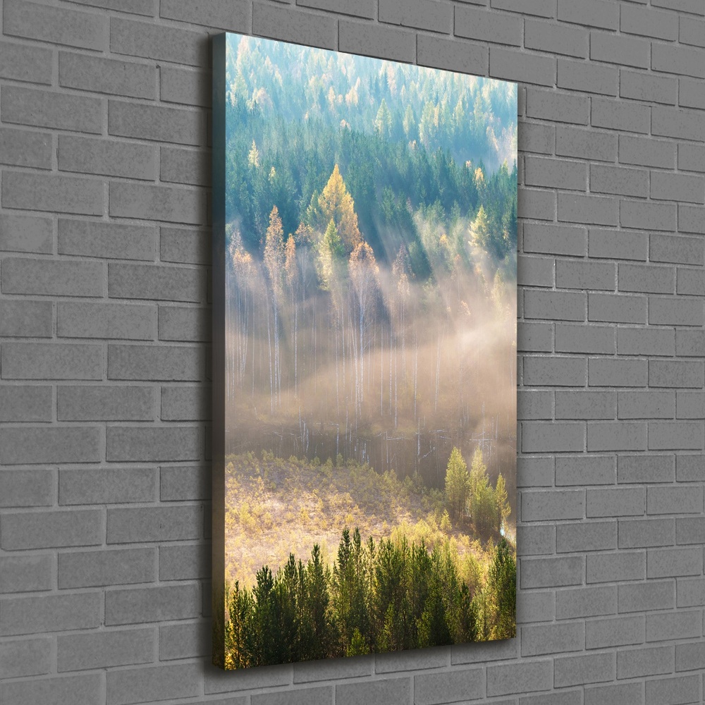 Canvas wall art Fog over the forest