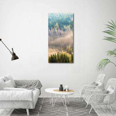 Canvas wall art Fog over the forest