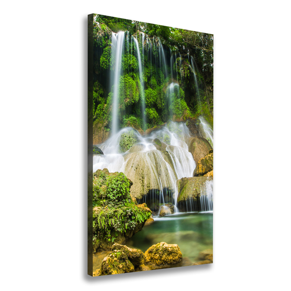 Canvas wall art Waterfall in the jungle