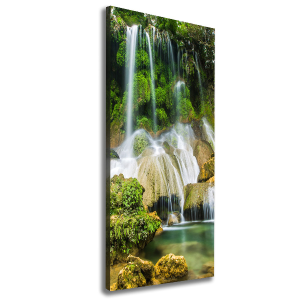 Canvas wall art Waterfall in the jungle