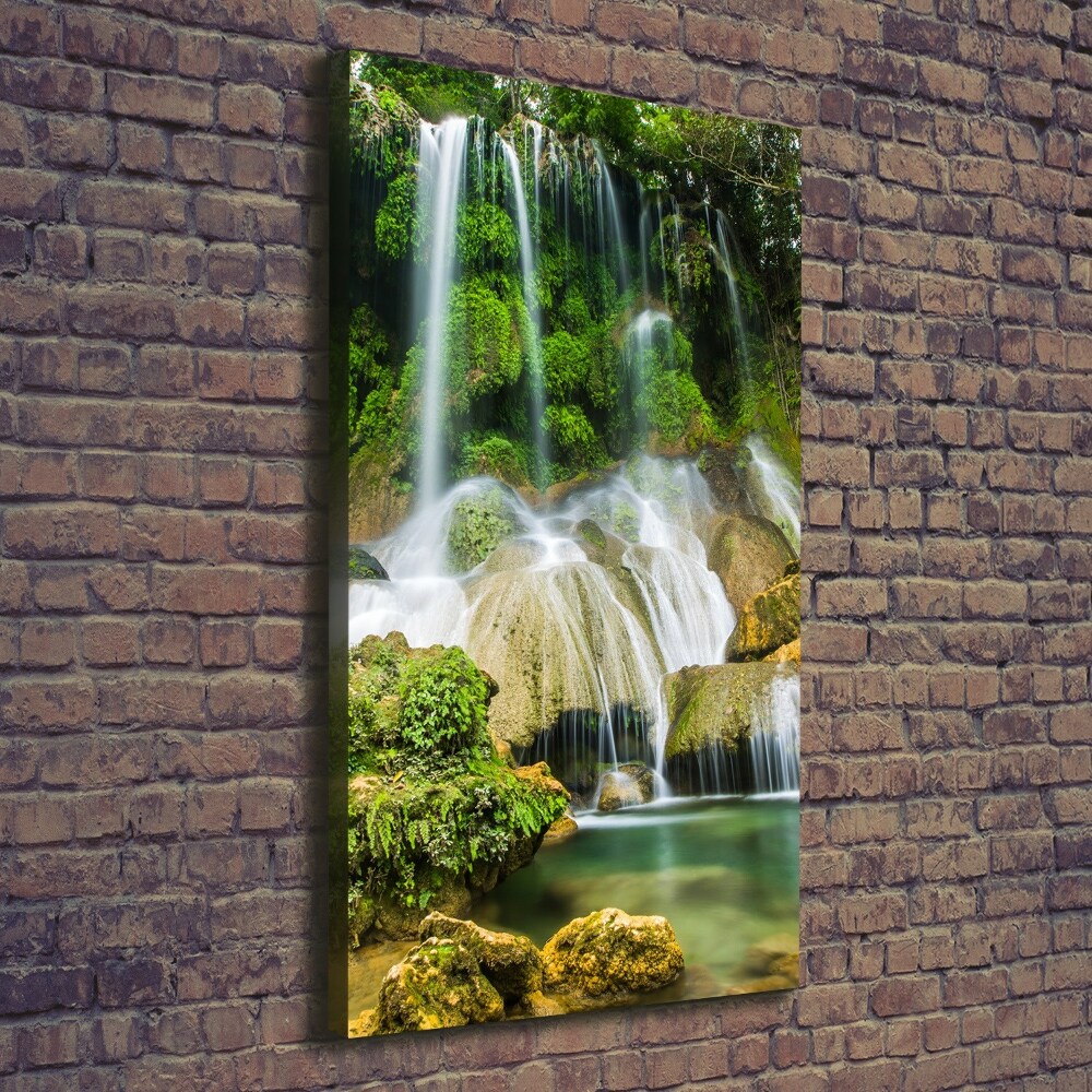 Canvas wall art Waterfall in the jungle