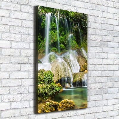 Canvas wall art Waterfall in the jungle