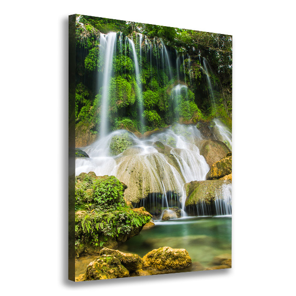 Canvas wall art Waterfall in the jungle