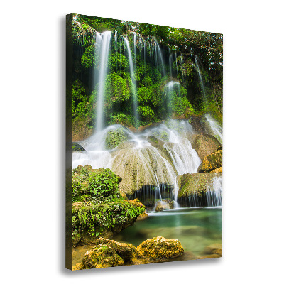 Canvas wall art Waterfall in the jungle