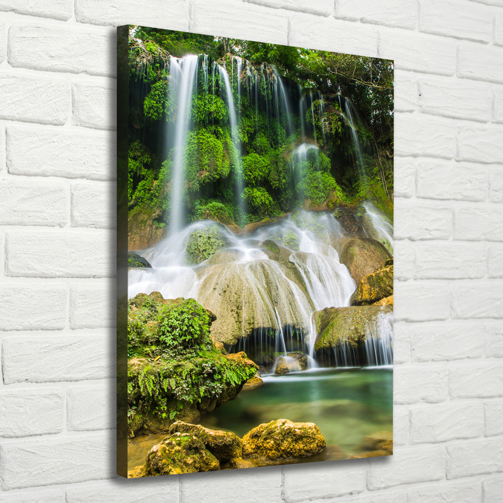 Canvas wall art Waterfall in the jungle