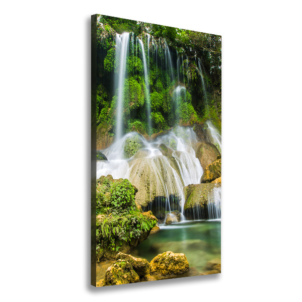 Canvas wall art Waterfall in the jungle