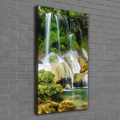 Canvas wall art Waterfall in the jungle