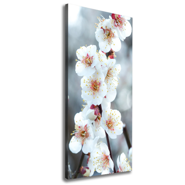 Large canvas wall art Cherry blossoms