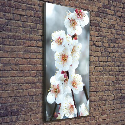 Large canvas wall art Cherry blossoms