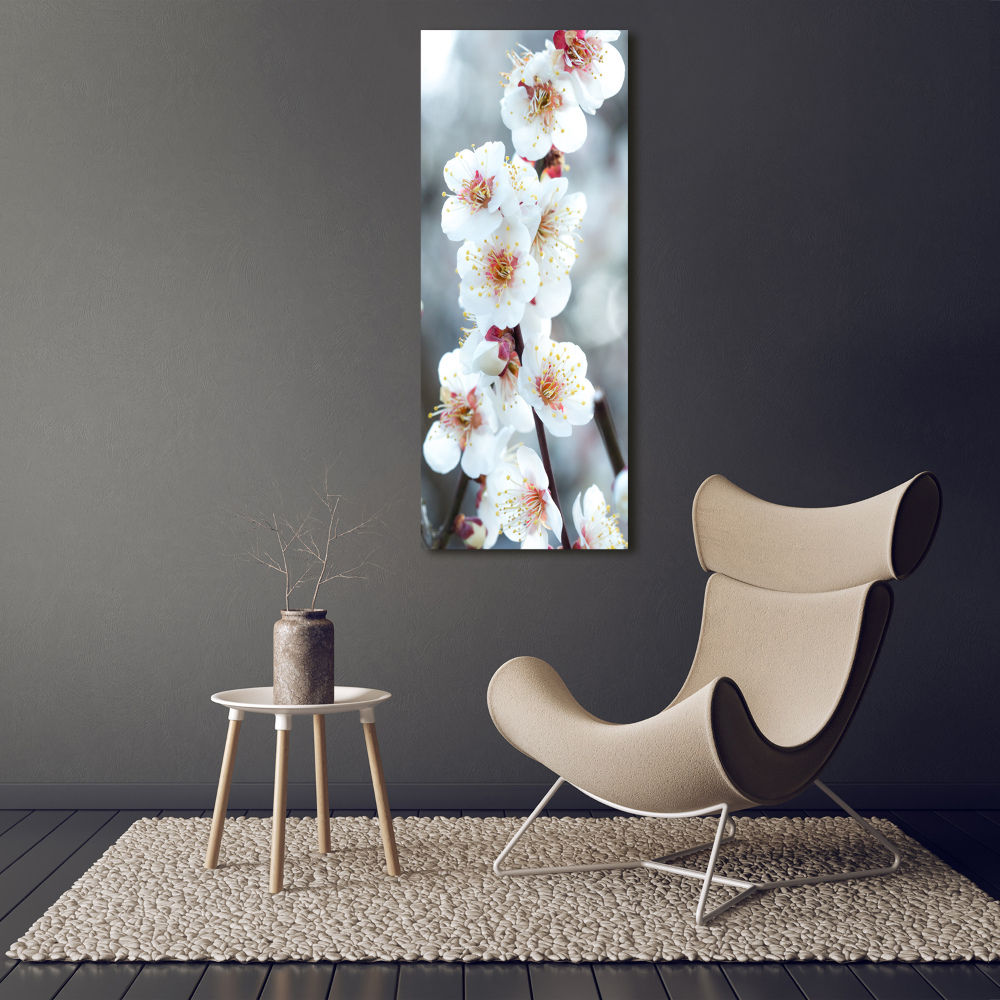 Large canvas wall art Cherry blossoms