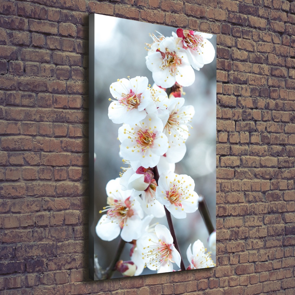 Large canvas wall art Cherry blossoms